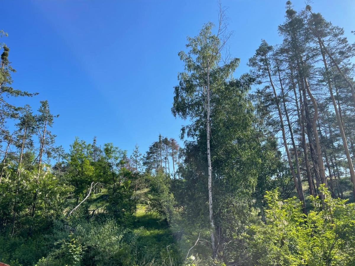 Nikol 2 Deluxe Apartman Velingrad Kültér fotó